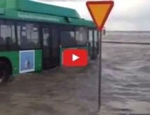 Video: Nevjerovatno! Ovom vozaču autobusa ne smeta ništa pa čak ni velika poplava