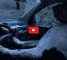 Video: Pas vozi automobil! Pogledajte divovski njemačku dogu za volanom Citroena!