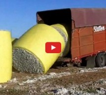 Video: Ovako nešto niste vidjeli! Pogledajte majstorski utovar ludog kamiondžije!