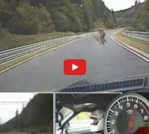 Video: Jurio u Nissanu GT-R na Nurburgingu pa pogodio orla pri brzini od 220 km na sat!