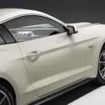 Mustang 50 (3)