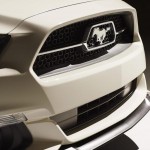 Mustang 50 (4)
