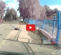 Video: Koliko je vožnja motorom opasna stvar dokazao je ovaj motorist