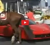 Video: Pogledajte šta je ovaj konj napravio Ferrariju 458 Italia