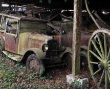 Video: Na aukciji skupocjeni automobili koji su zaboravljeni na farmi više od 50 godina
