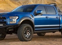 Shelby Baja Raptor