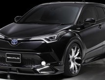 Wald International Toyota C-HR