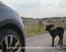 Pogledajte kako izgleda jedna od najljepših automobilskih reklama današnjice (VIDEO)