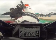 Zbog goleme ptice dva motociklista sudarili se brzinom 170 km/h (VIDEO)