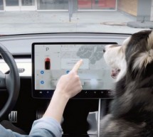 Tesla predstavio ‘pseći mod’ koji kućne ljubimice u vozilu štiti od toplotnog udara