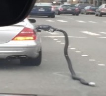 Vozač Mercedesa otkinuo crijevo sa pumpe i nastavio da vozi (VIDEO)